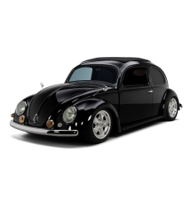 Beetle Type 1