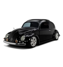 Beetle Type 1