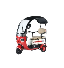 Xe điện 3 bánh có mái che YABO