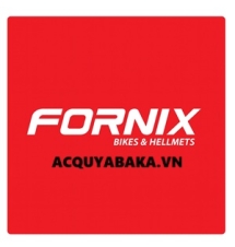 Fornix