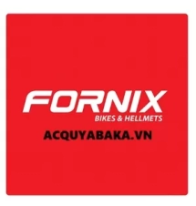 Fornix