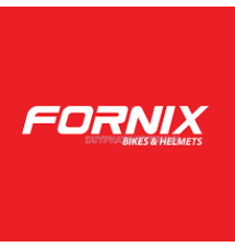 Fornix