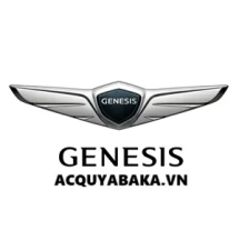 Genesis