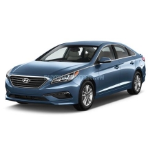 Sonata 2009-2011