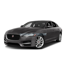 XF