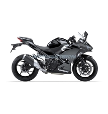 Ninja 250