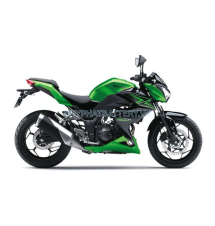 Z300