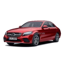 C300
