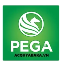 Pega