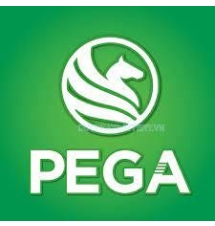 Pega