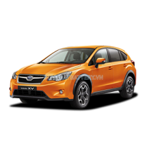 XV