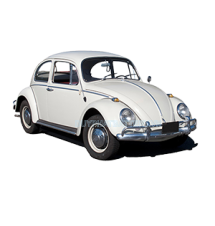 Beetle Type 1