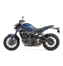 FZ09