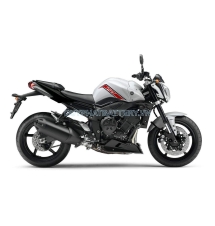 FZ1