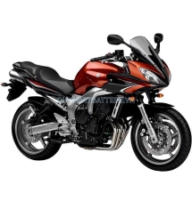 FZ6