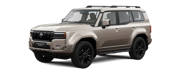 Bình ắc quy xe Toyota Prado