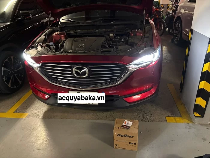 Bình ắc quy cho xe Mazda Biante - Bảng giá, thông số kỹ thuật 4