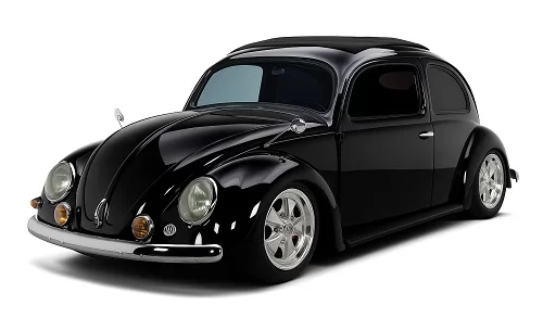 Beetle Type 1